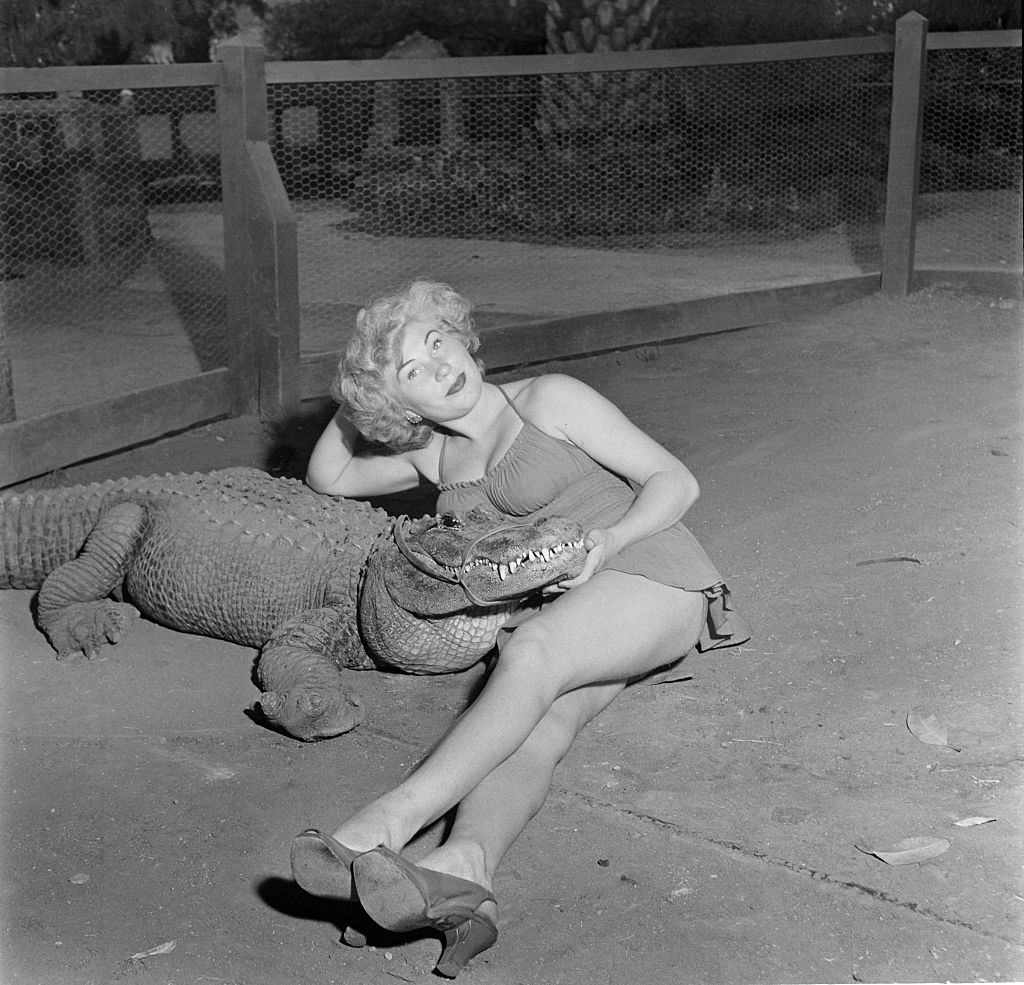 #11 A model poses with an alligator at the Los Angeles Alligator Farm, 1949