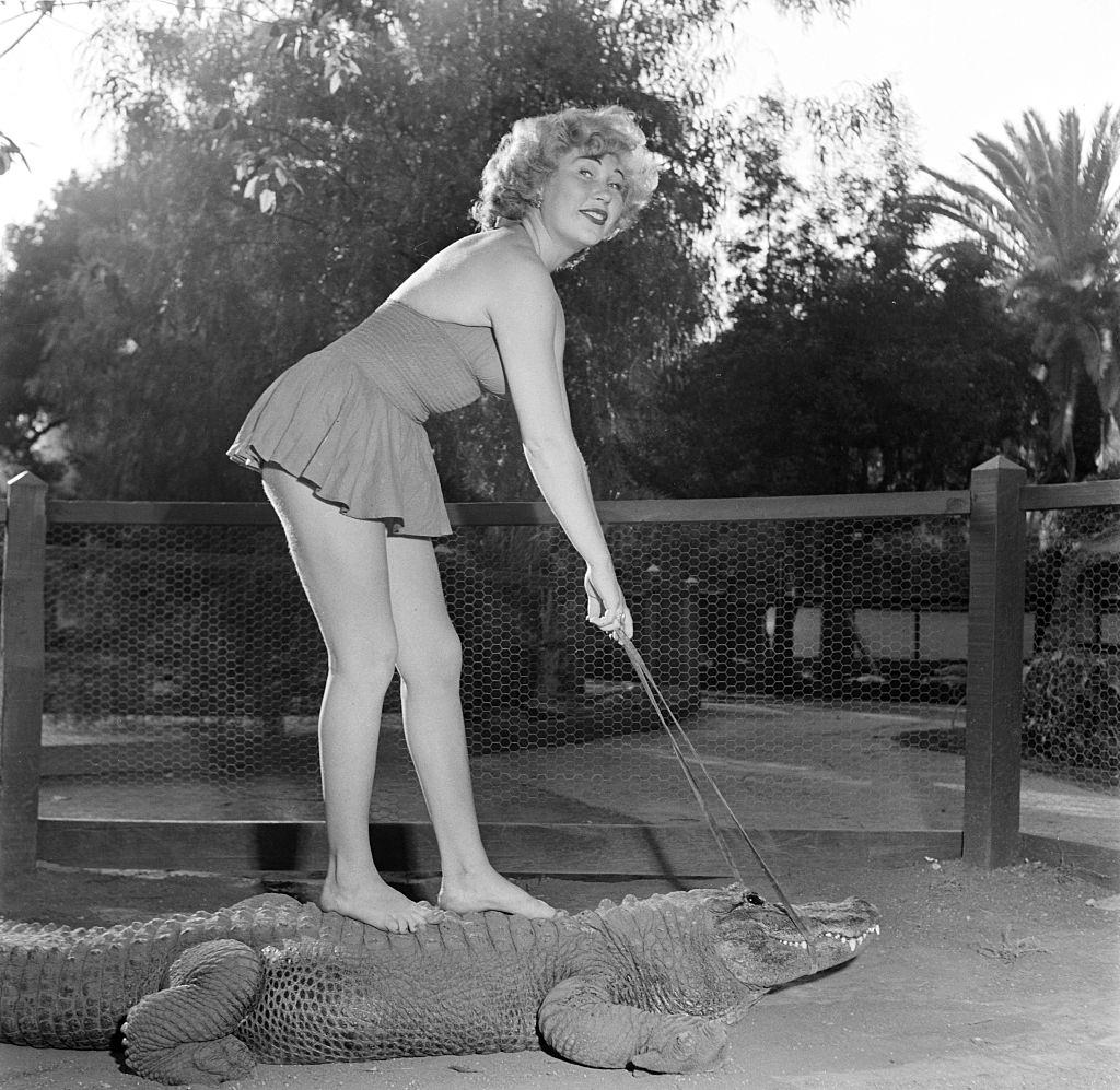 #2 Los Angeles Alligator Farm, 1949