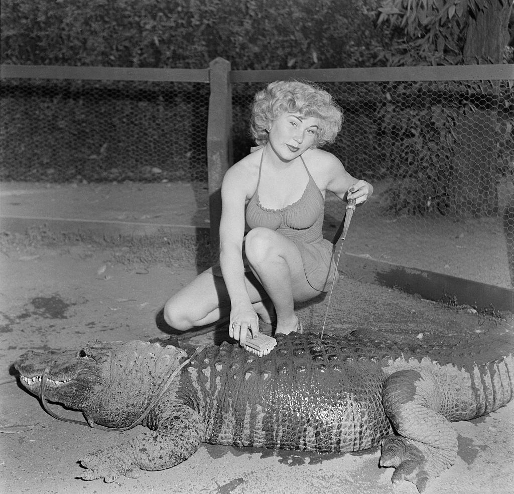 #5 A model poses as she washes an alligator at the Los Angeles Alligator Farm at 3627 Mission Road in the Lincoln Heights area of Los Angeles, 1949.