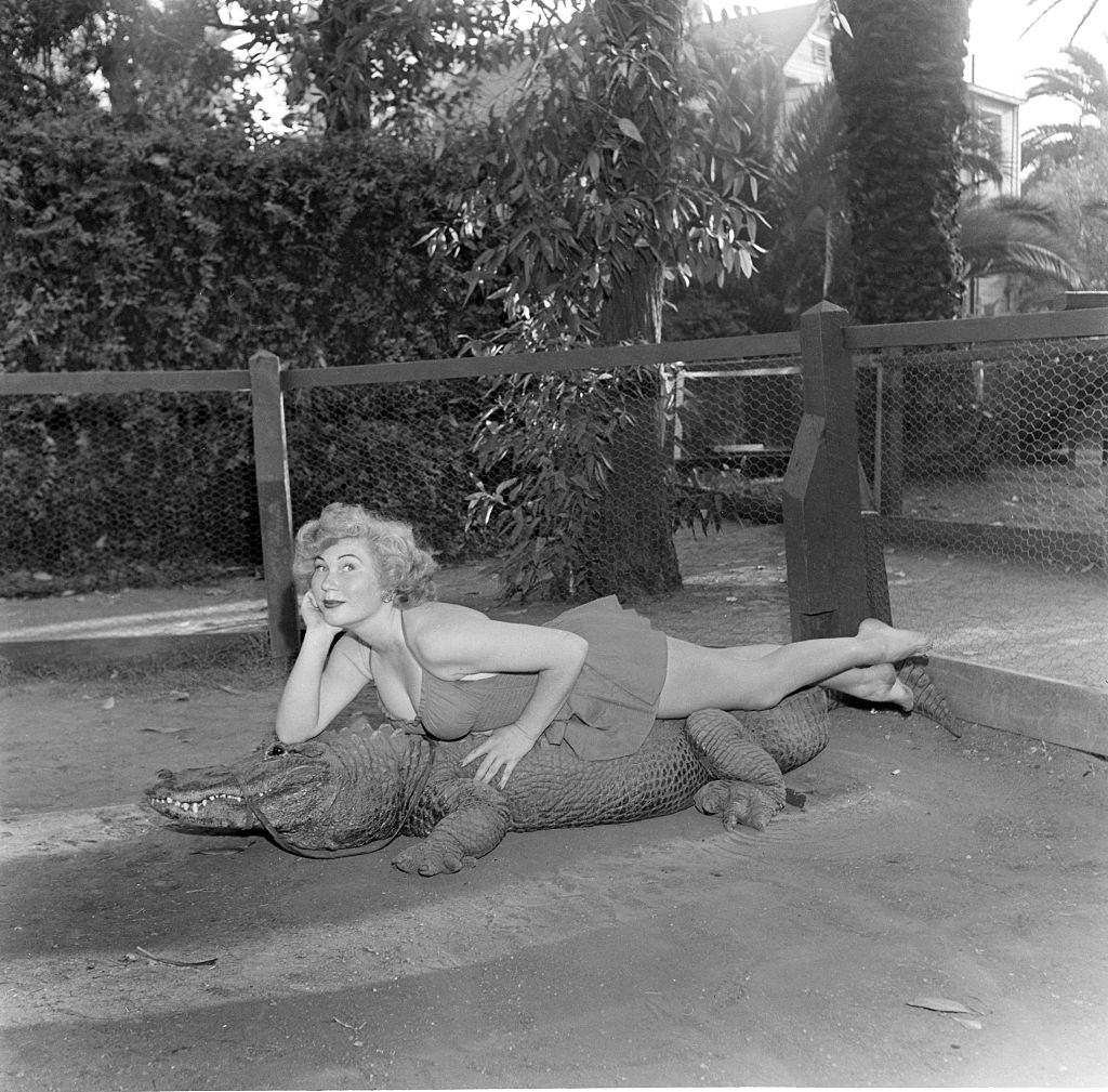 #6 A model poses lays on an alligator at the Los Angeles Alligator Farm, 1949