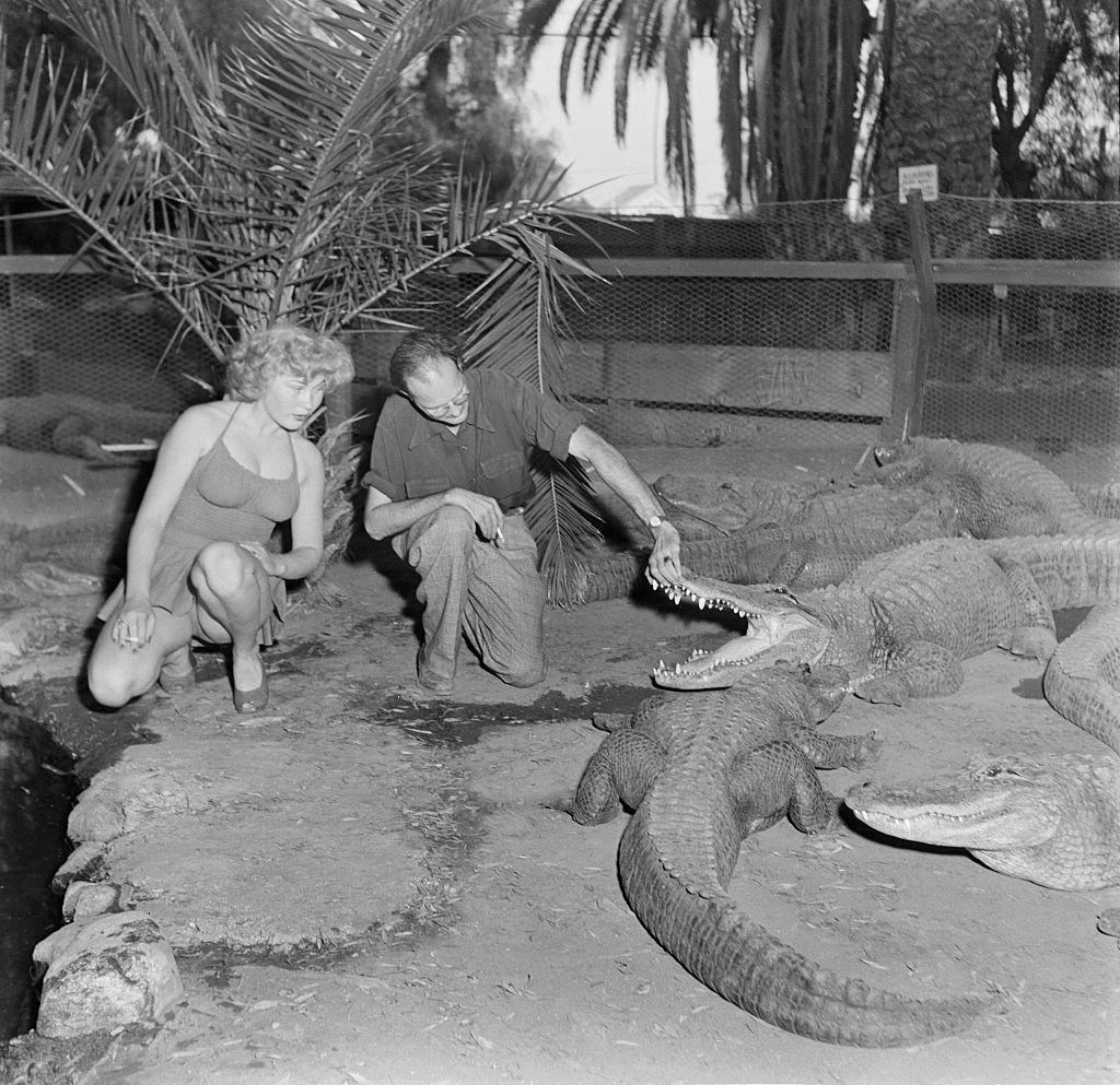 #7 A model with an alligator wrangler gets close to alligators at the Los Angeles Alligator Farm at 3627 Mission Road in the Lincoln Heights area of Los Angeles.