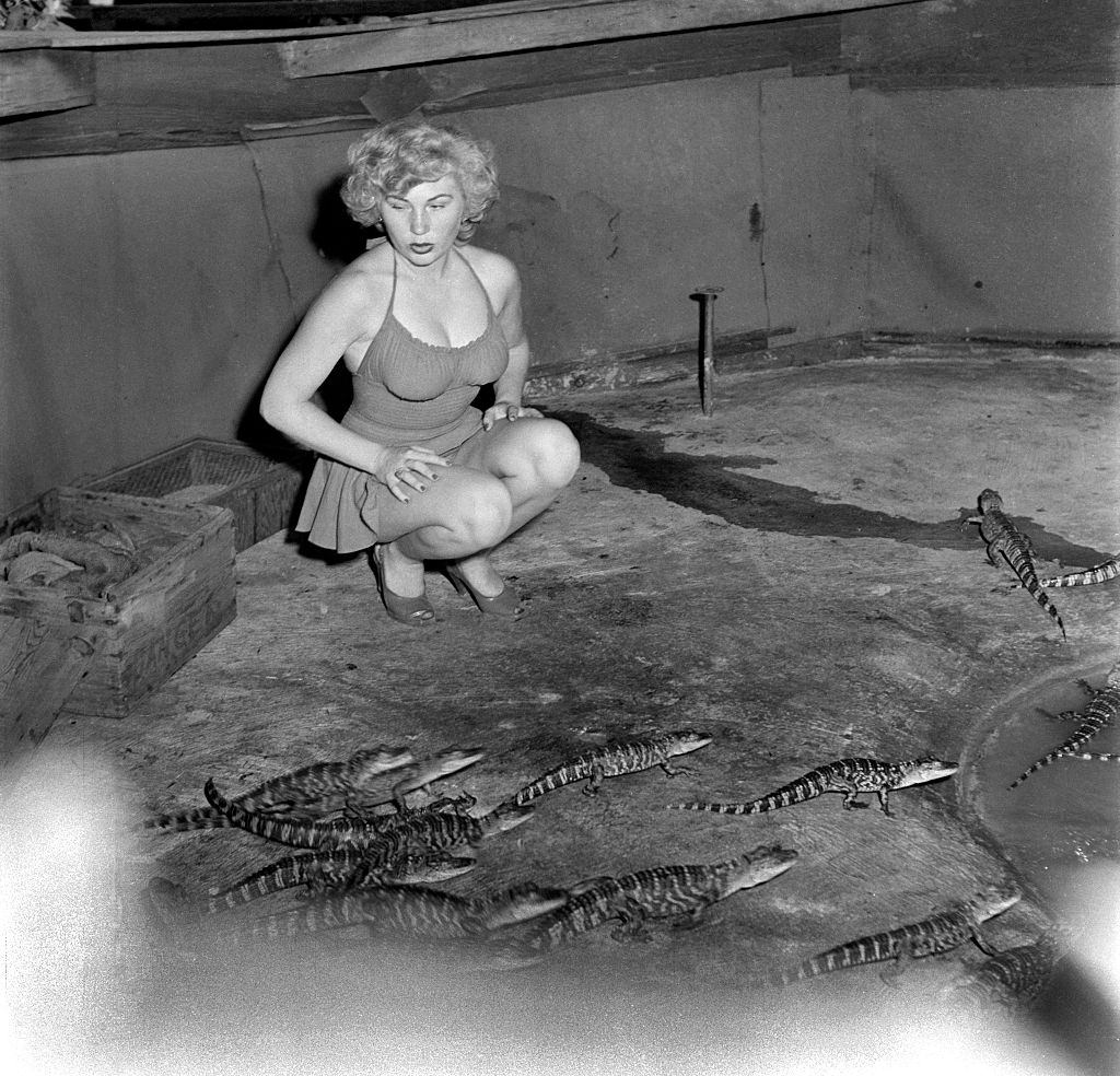 #8 A model poses with baby alligators at the Los Angeles Alligator Farm.