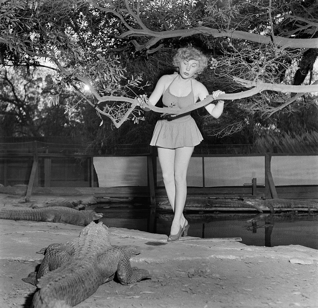 #9 A model poses with an alligator at the Los Angeles Alligator Farm, 1949