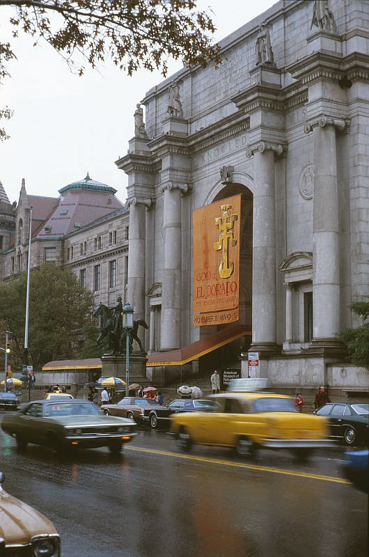 #36 American Museum of Natural History (Manhattan) and a few exhibits