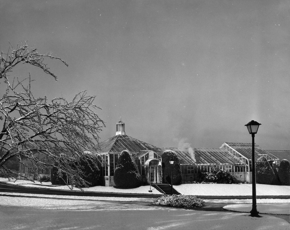 #10 Capitol Conservatory in the snow, 1968