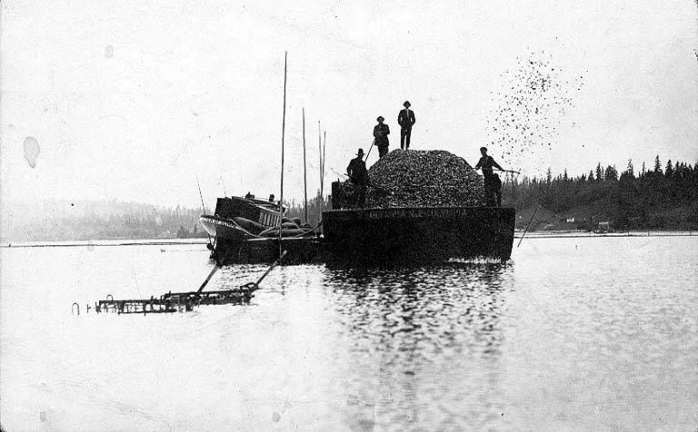 #13 Four workers standing on a pile of oysters carried by the barge OLYMPIA NO. 205 in Oyster Bay, Washington, 1910