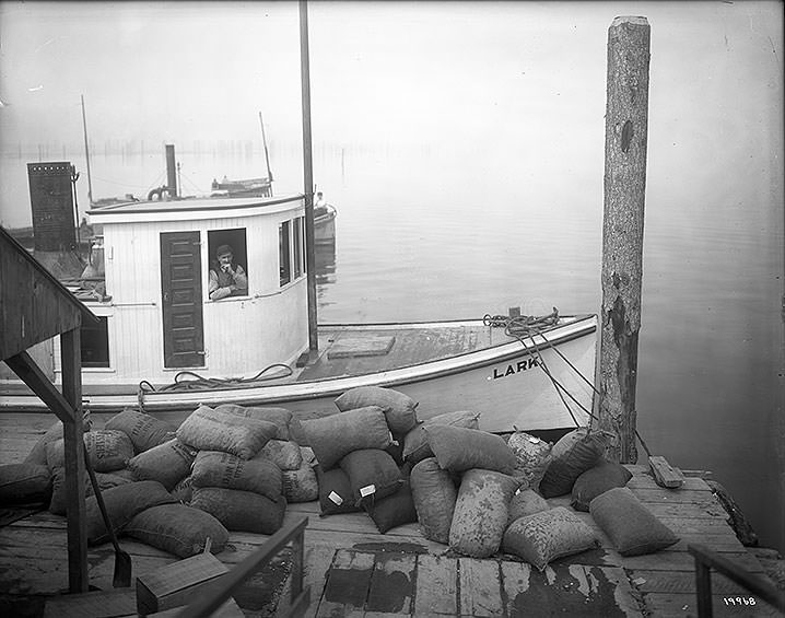 #54 Launch [Lark] Delivering Oysters at the J.J. Brenner Plant-Olympia, 1910