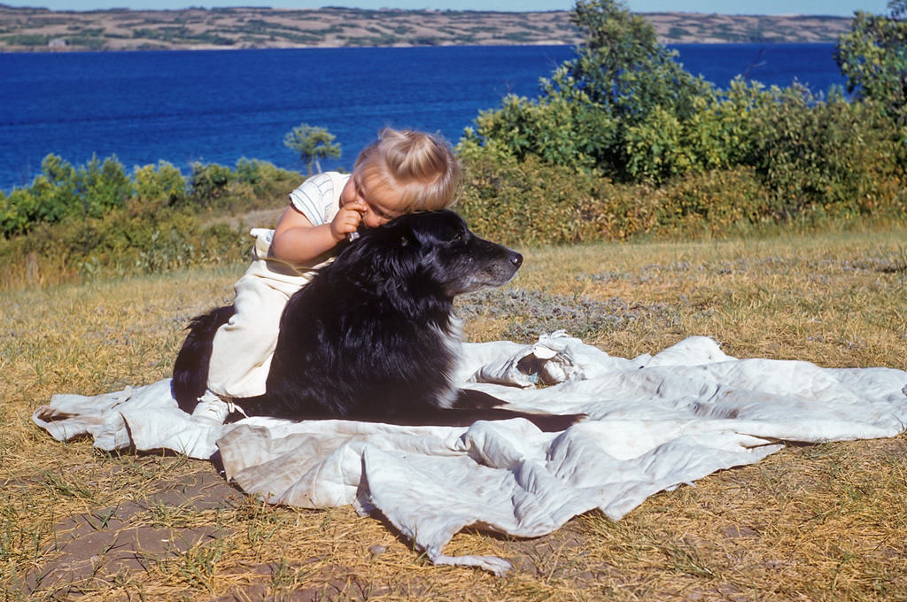 #46 Little girl on dogback, 1952