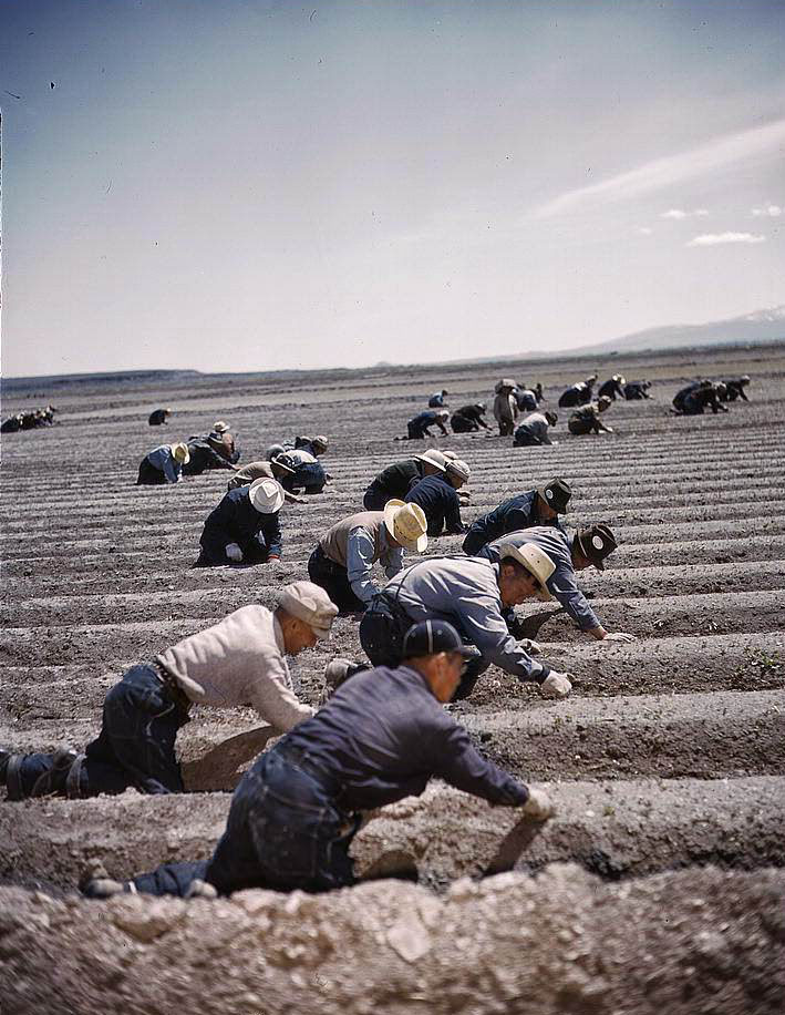#72 Japanese-American camp, war emergency evacuation, Tule Lake Relocation Center, Newell, California, 1950s