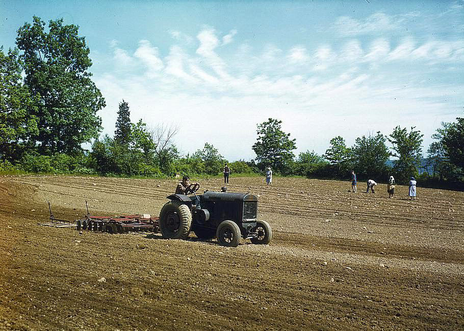 #81 Arm owned by James Pompey, who 20 years ago came from Italy on the advice of a brother, Southington, Connecticut, 1950s