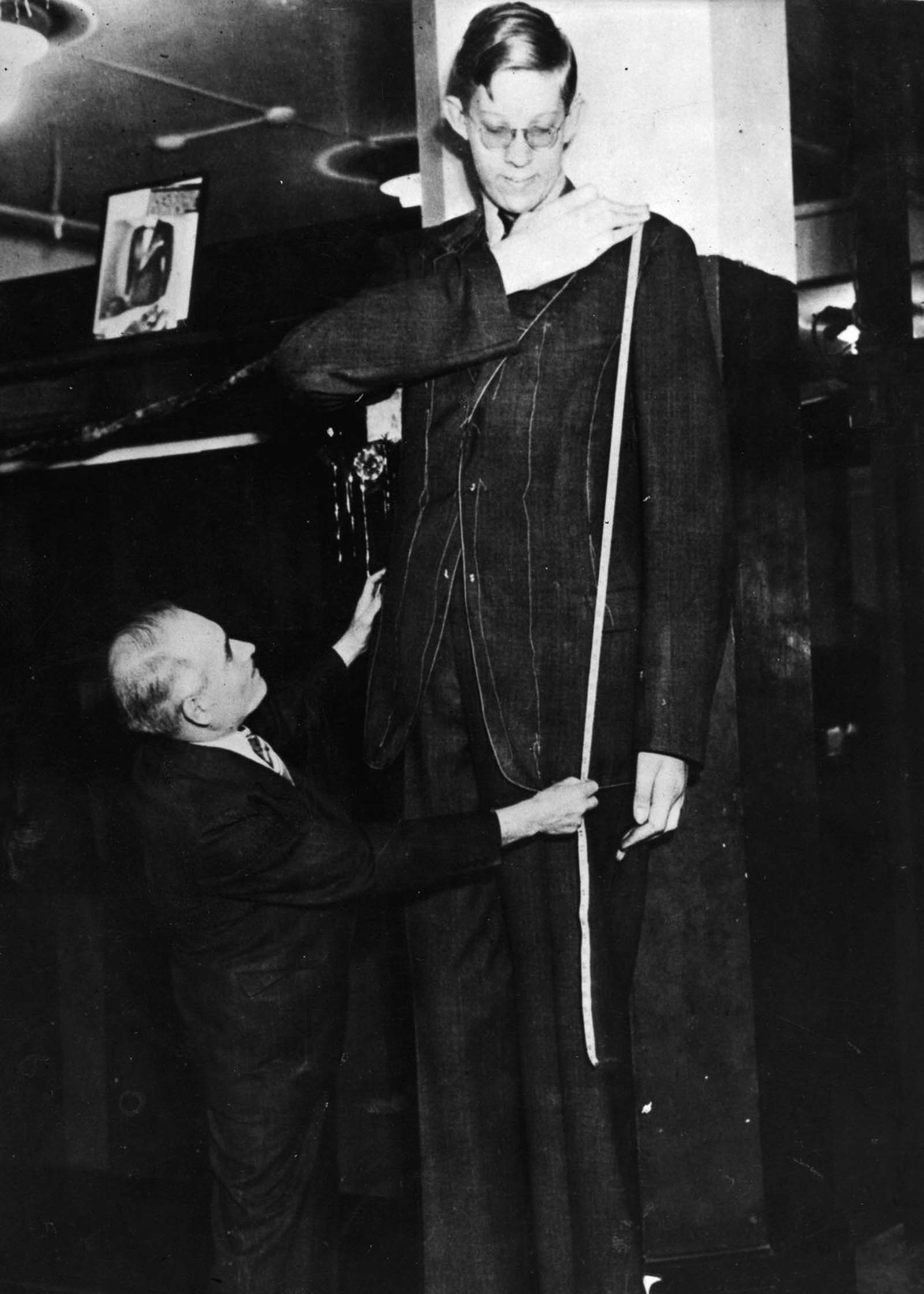 #16 Wadlow is fitted for a jacket, 1939.