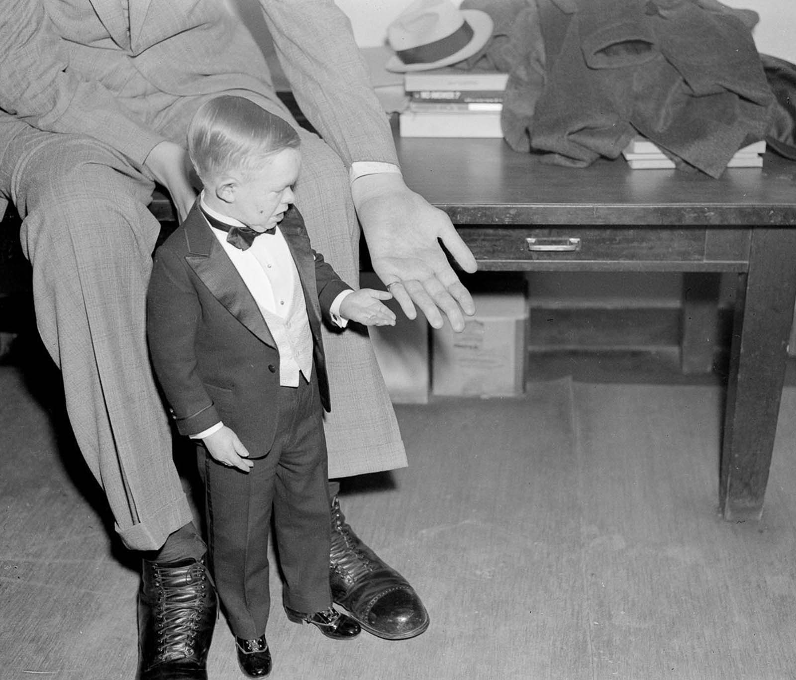 #18 “Major Mite” of the Ringling Brothers Circus compares hand sizes with Wadlow, 1937.