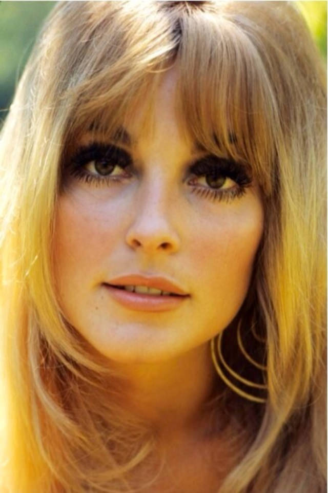 #15 Glamorous Portraits of Sharon Tate by Orlando Suero in 1965 #15 Celebrities