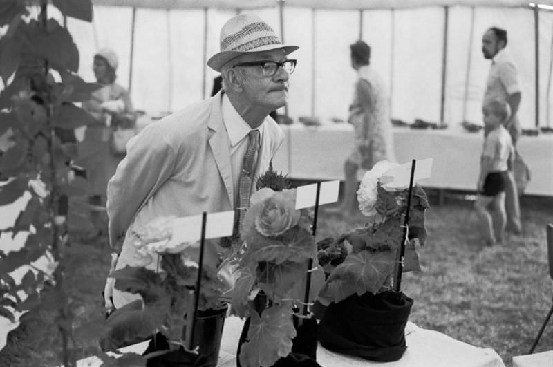 #16 Flower show, Llanfrechfa