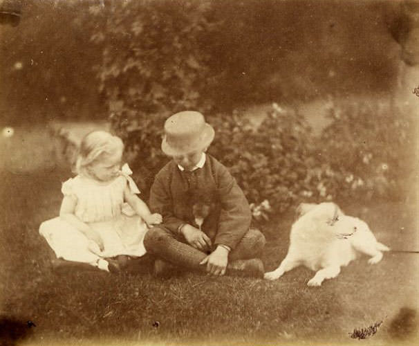 #16 Boy and girl with two dogs