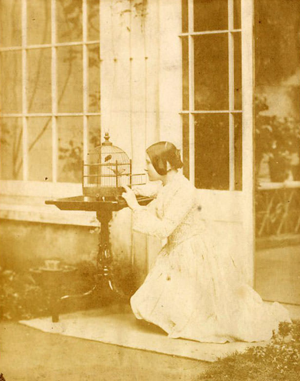 #6 Thereza Dillwyn Llewelyn