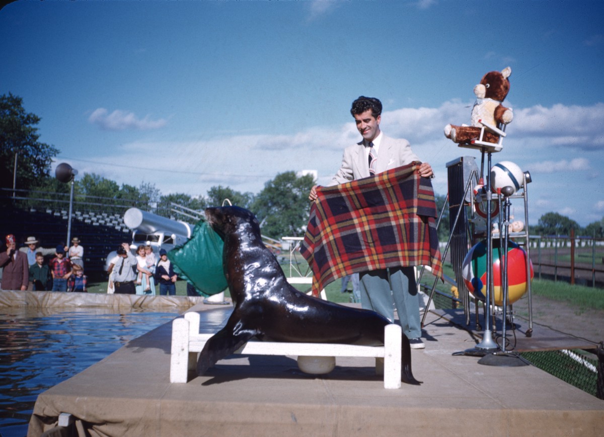 #19 Sharkey the Seal, and Billy Roe,1954