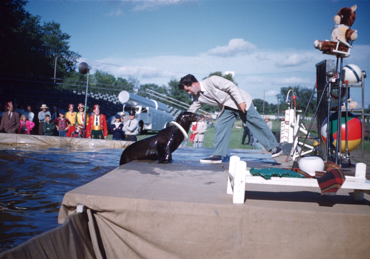#20 Sharkey the Seal, and Billy Roe,1954