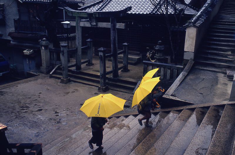 #24 Yellow Umbrellas, Tokyo, 1983