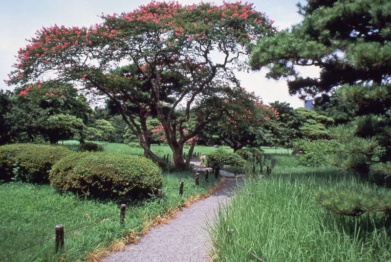 #27 Hama Rikyu Garden, 1981