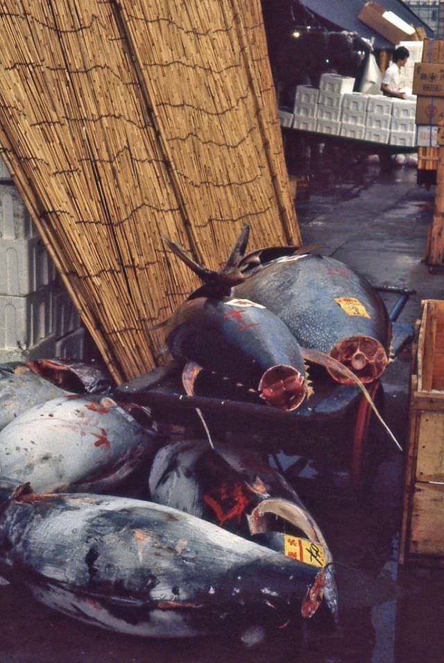 #39 Tsukiji market, 1981