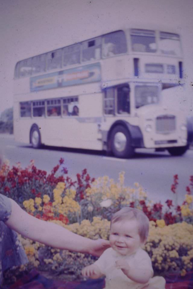 #16 Crosville Bristol Lodekka, Holway Road, Holywell, 1960s