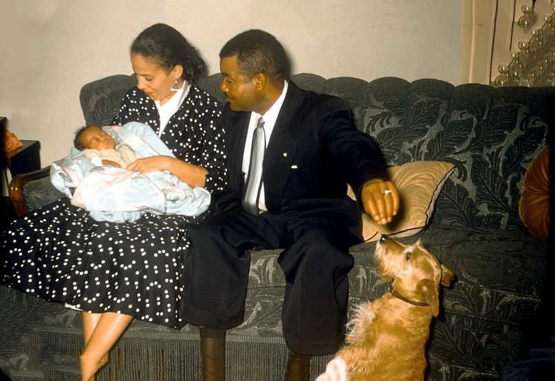 #39 I don’t know honey, I sort of prefer the dog