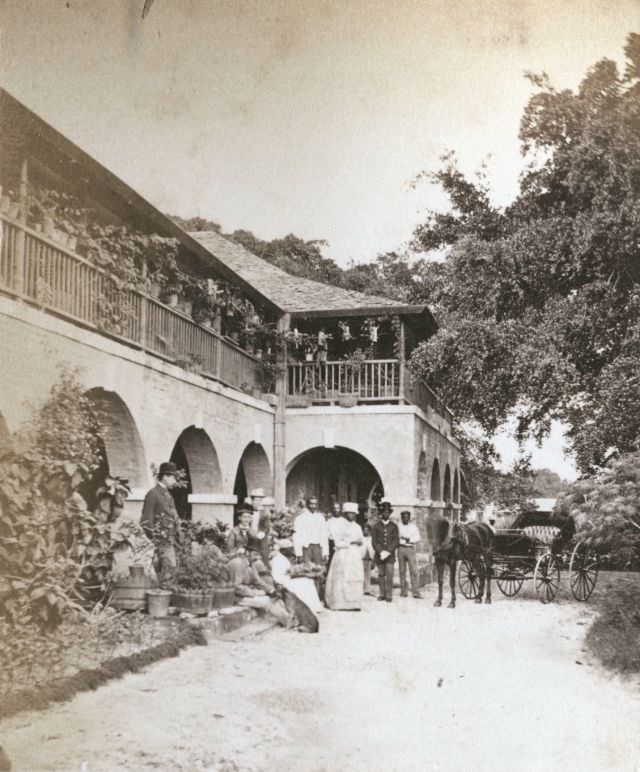 #25 Household staff, Bridgetown, 1880s