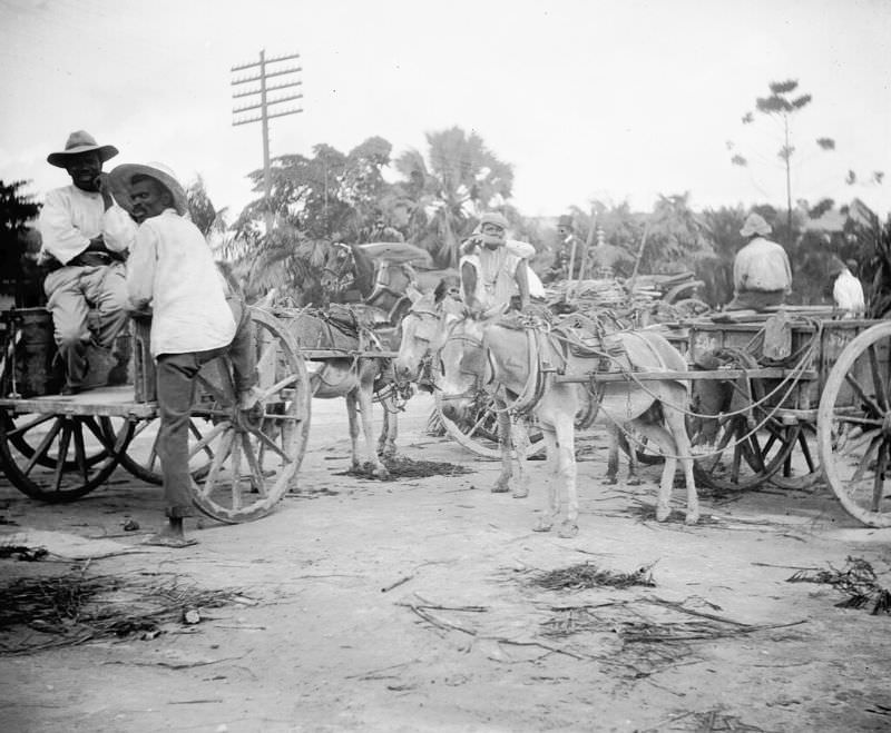 #53 Wagons, Bridgetown, Barbados