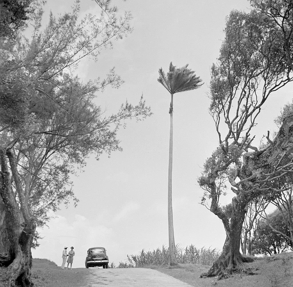 #55 Two people stop and talk by the side of a road in Bridgetown, Barbados.