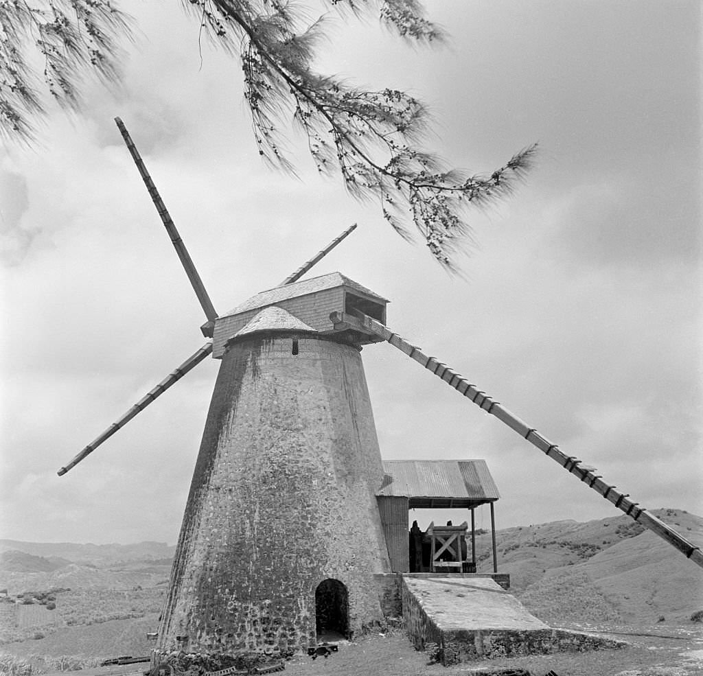#62 Morgan Lewis Windmill, part of a sugar plantation in Bridgetown, 1946