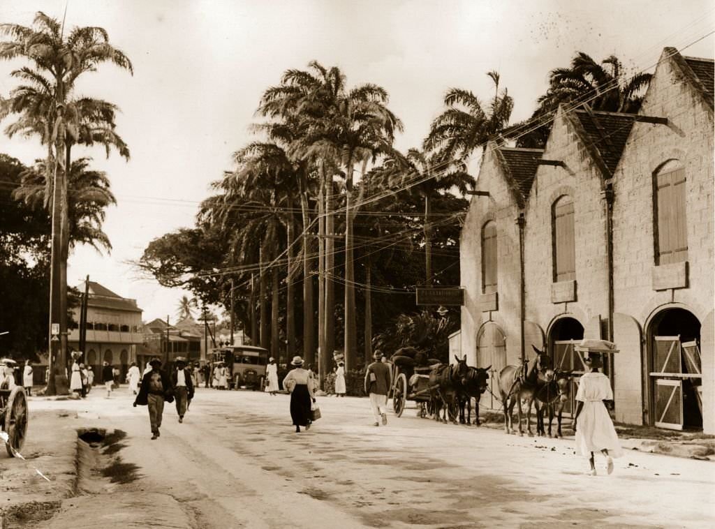 #81 Lower Broad Street in Bridgetown, Barbados, 1910