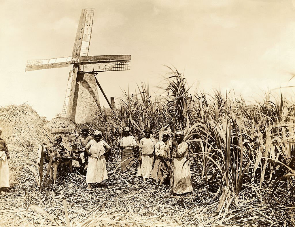 #95 Workers in the sugarcane fields stand in front of the windmill used to grind the cane.