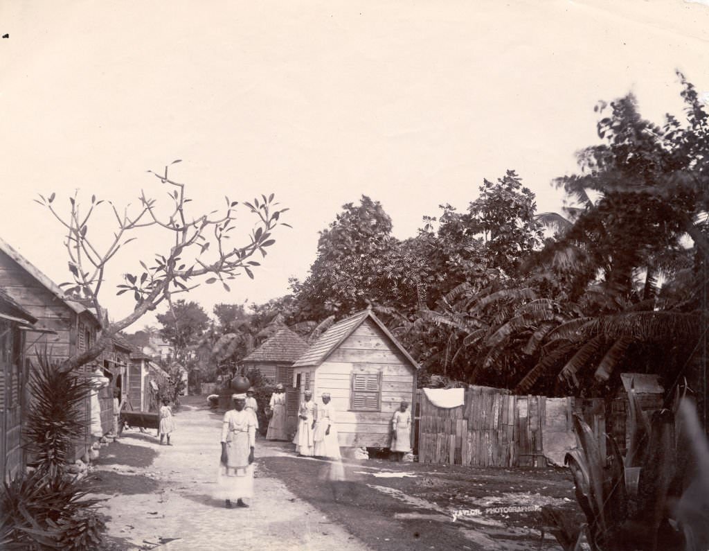 #98 A native street in Bridgetown, Barbados, 7th March 1896.