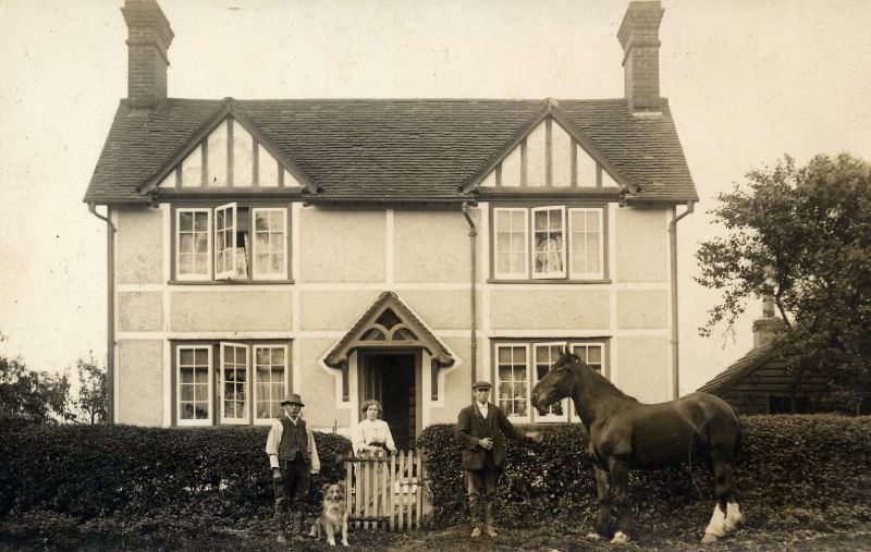 #3 That is Dora standing against the gate