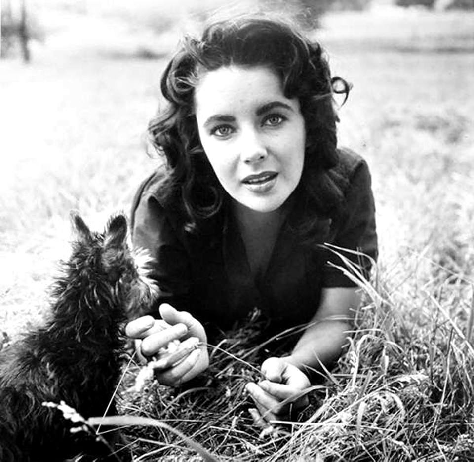 #33 Beautiful 23-Year-Old Elizabeth Taylor on the set of ‘Giant 1955’ #33 Movies