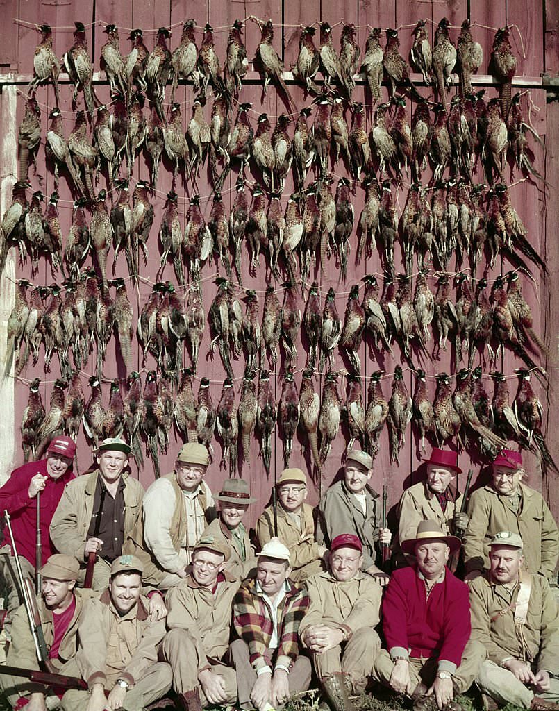 #19 Pheasant Hunting