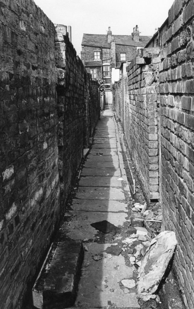 #20 A typical Edge Hill alley way, Liverpool, 17th August 1981.