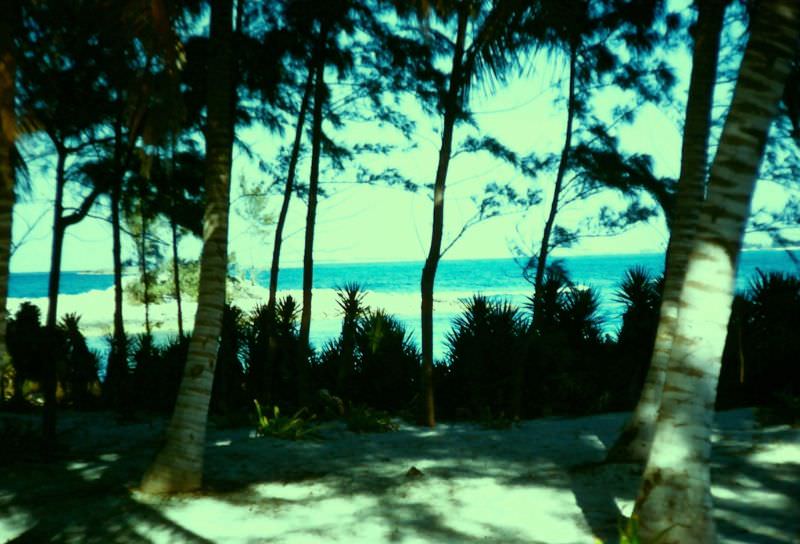 #3 Hog Island, Nassau, 1960