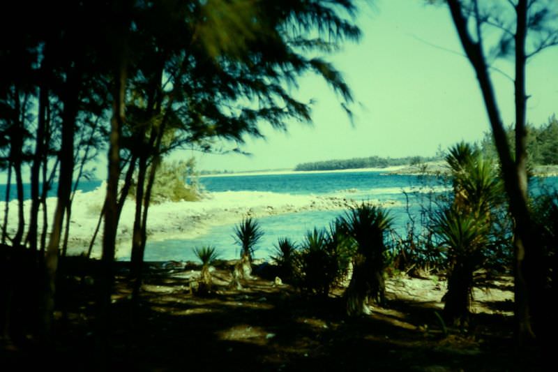 #4 Hog Island, Nassau, 1960