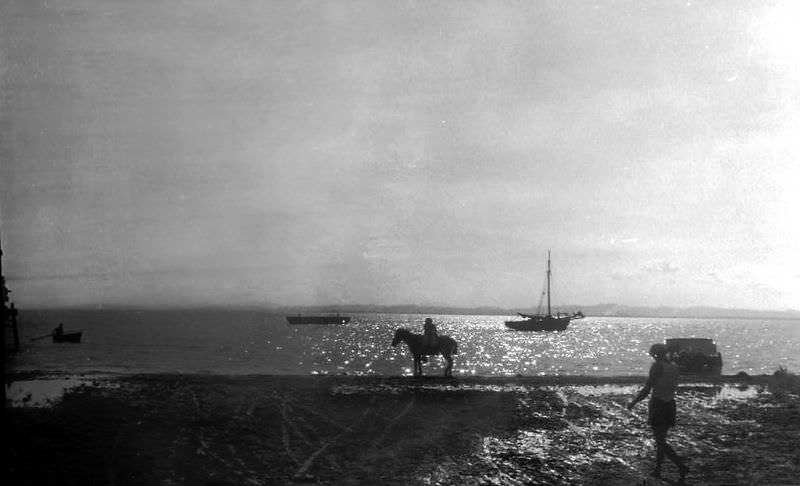 #11 Seashore & horseman