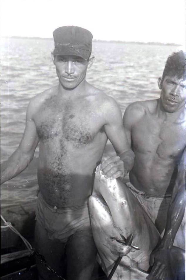 #12 Shark and hunks