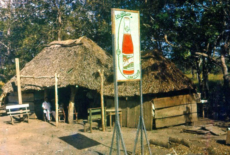 #21 Country church and palm trees