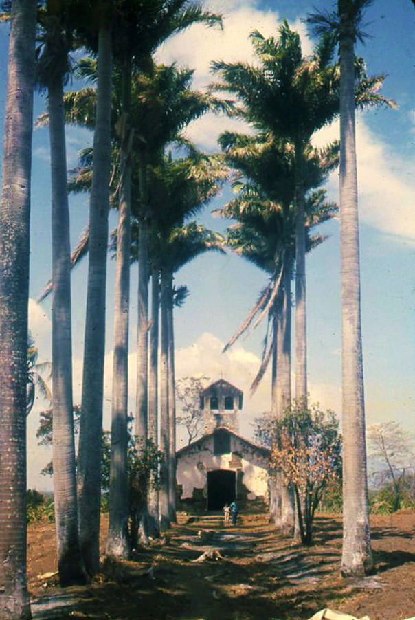 #20 Cantina with hot-sauce sign