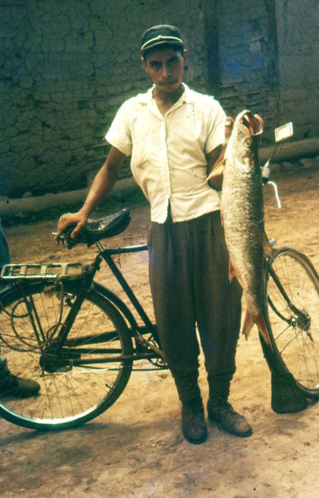 #33 Man and big fish