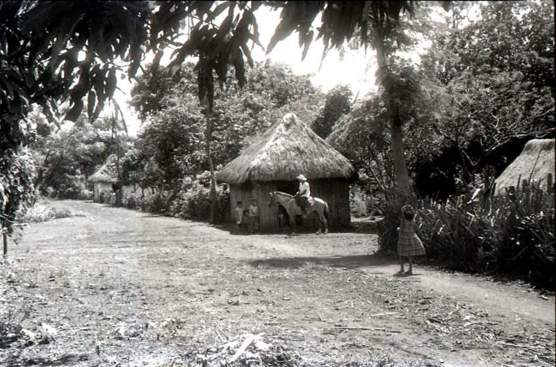 #35 Man on white horse