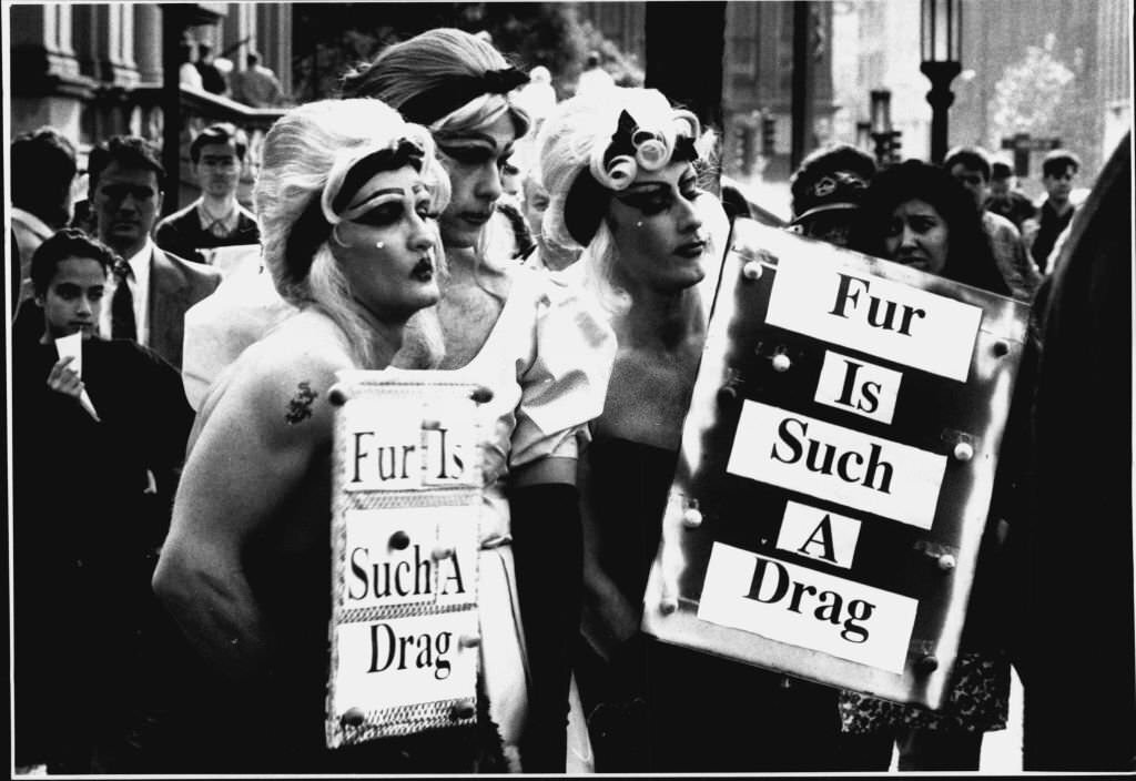 #15 Anti for rally at town hall…eight models wore nothing much and three drag queens turned up to show their disgust.