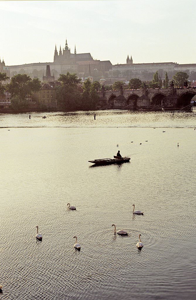#47 Swans and a fishing boat on the Vltava River, Prague, 1990s