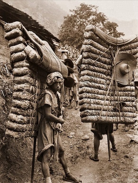 #42 Men Laden With Tea, Sichuan Sheng, China, 1908