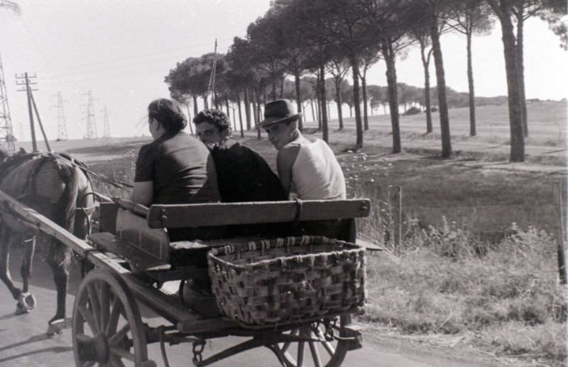 #38 Via Appia,1956